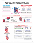 Cardiac Notes