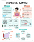 Respiratory Notes