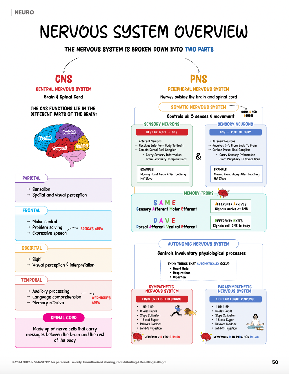 Neuro Notes