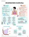 Respiratory Notes